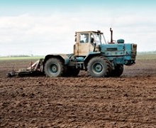 Чернігівщина засіяла кукурудзою рекордні площі